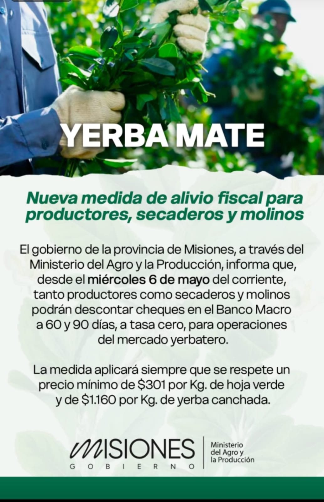 Lanzaron una nueva herramienta de alivio fiscal para el sector yerbatero 2